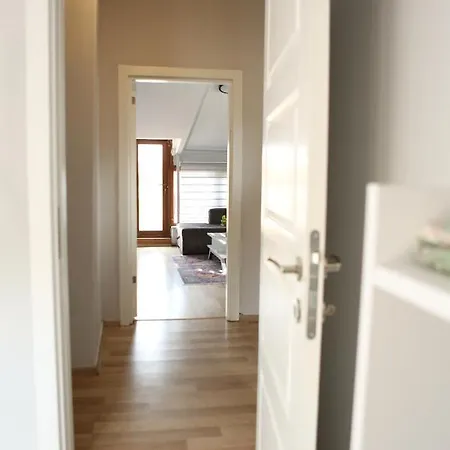 Aras Stambuł