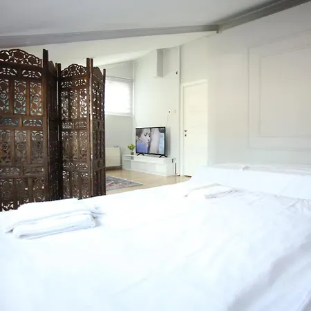 Aras Apartament Stambuł