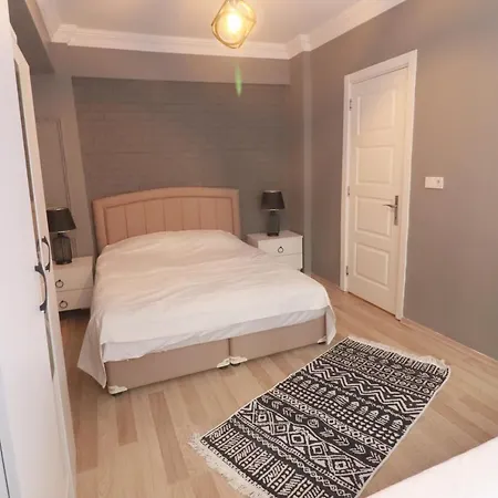 Aras Apartament *